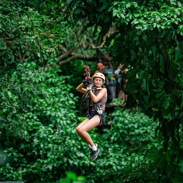 Tree Bridge Zipline Koh Samui